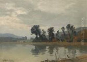 View Of The Peninsula At Walterskirchen by Josef Willroider