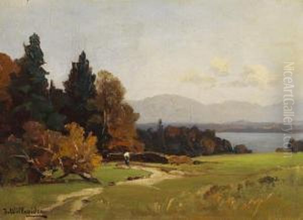 Blick Auf Den Starnberger See - view 1