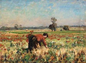 Le Pr fleuri Courrires (The Flowering Field in Courrires)