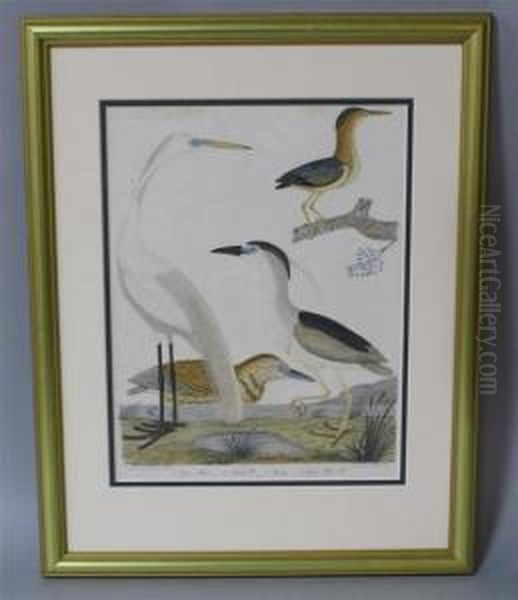 Four Herons - view 1