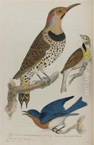 Philadelphia: Robert [and William] Carr For Bradford And Inskeep, 1809-1814 by Alexander Wilson