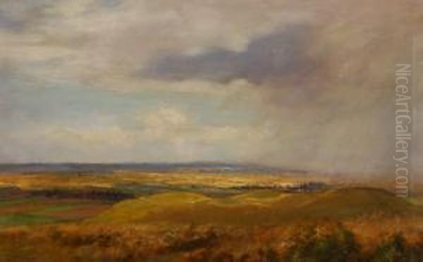Storm Swept Landscape - view 1