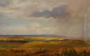 Storm Swept Landscape