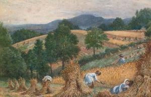 Harvest - view 1