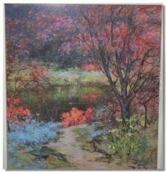 Woodland Scene - view 1