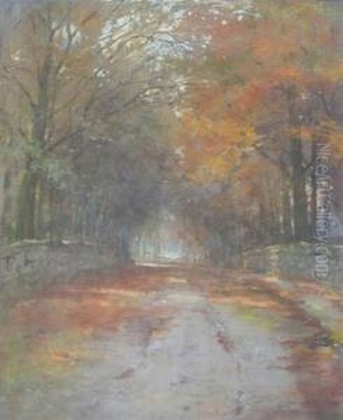 Avenue In Autumn - view 1