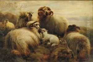 Flock Of Sheep On A Hillside by Robert Burns Wilson