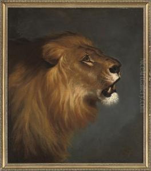 Lord Of The Pride - view 1