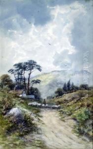 Shepherds And Flocks In The Highlands