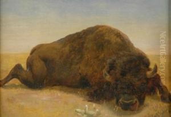 Monarch Of The Plains, Circa - view 1