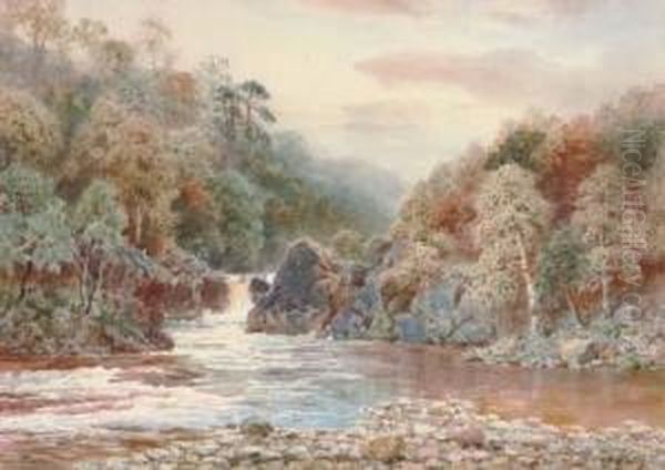 A Serene Fishing Pool - view 1