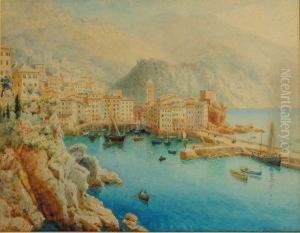 Il Porto Di Camogli Il Porto Di Camogli