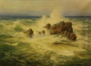 Cormerants Perched On A Rock In A Roughsea