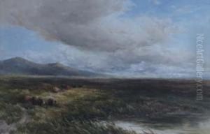 Moorland View With Cattle by Edmund Morison Wimperis
