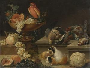 Still Life