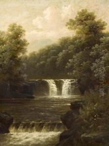 Woodland Waterfalls