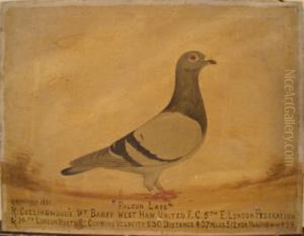 Pigeon Portrait - view 1