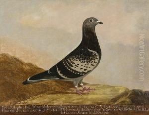 Silver King by Edward Henry Windred
