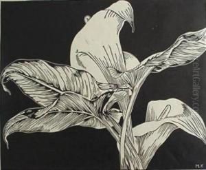 Calla Lillies by Mary Louisa Wing