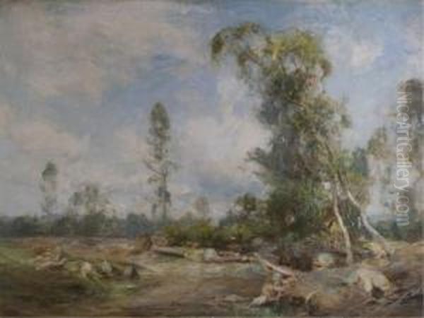 Rural Landscape Scene - view 1