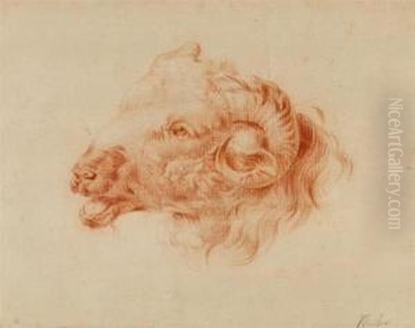 Ram's Head. - view 1