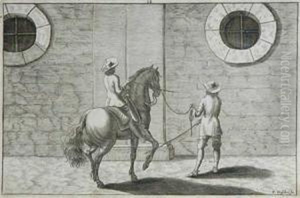 Dressage Study - view 1