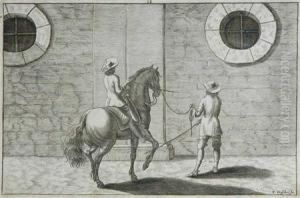 Dressage Study