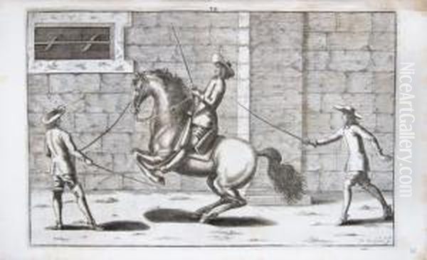 Bellerophon, Sive Eques Peritus: Hoc Est, Artis Equestris Accuratissima Institutio : Opere Bipartito, Seu Duobus Libris, Absoluta. - view 1