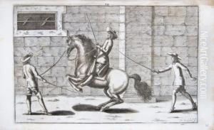 Bellerophon, Sive Eques Peritus: Hoc Est, Artis Equestris Accuratissima Institutio : Opere Bipartito, Seu Duobus Libris, Absoluta. by Georg Simon Winter