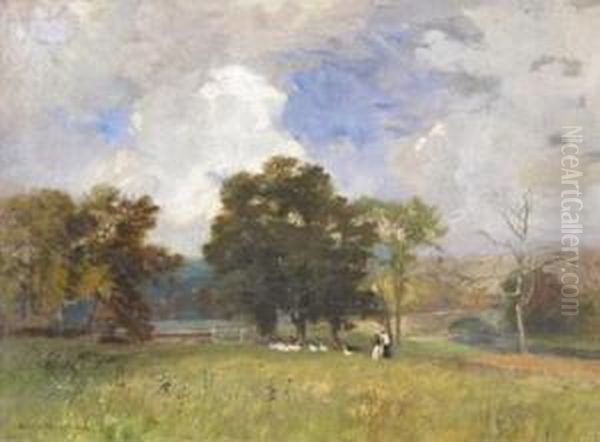 Geese In A Meadow - view 1