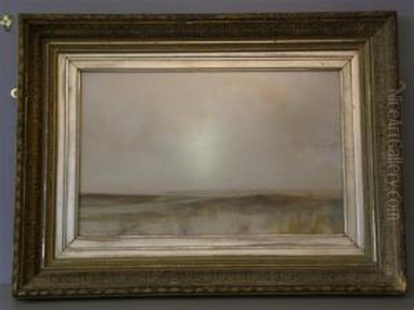 Landscape With Reeds Inthe Foreground - view 1
