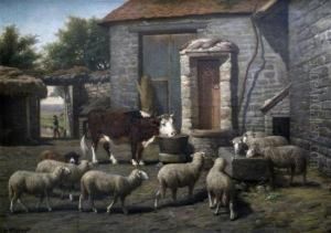 Sheep And Cattle In A Farmyard