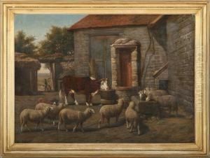 The Animals Are Drinking