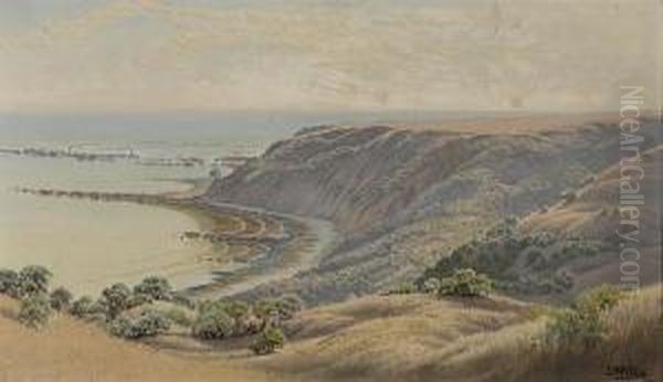 Duxbury Reef, Marin County - view 1