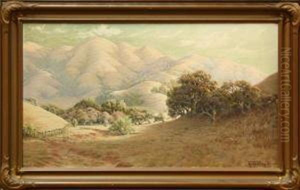 ''bolinas,'' - view 1