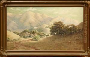 ''bolinas,''
