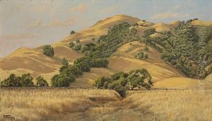 Marin Hills by Jack Wisby