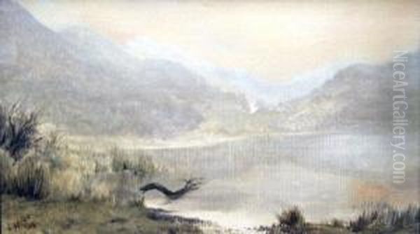 Misty Morning, Bolinas Lagoon - view 1