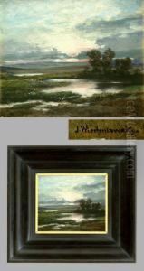 Weite Stimmungsvolle Landschaft Mit Storchen