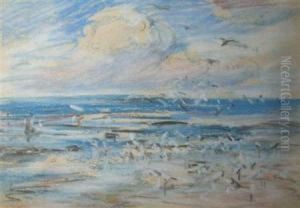 Seagulls by Peter Wishart