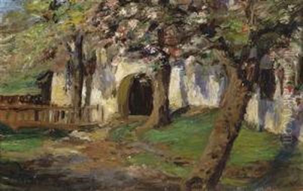 Apple Trees In Blossom - view 1