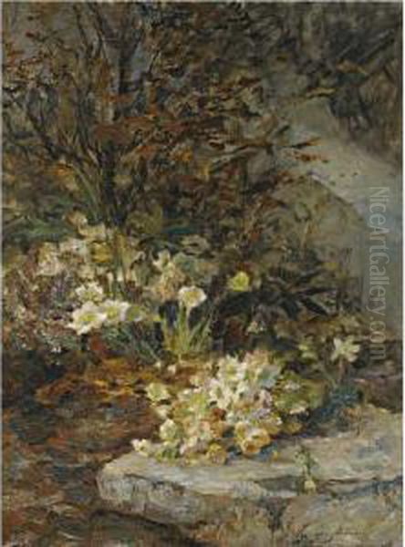 Schneerosen (hellebores) - view 1