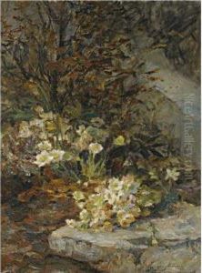 Schneerosen (hellebores) by Olga Wisinger-Florian