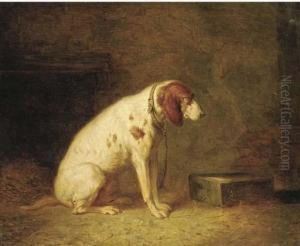 A Hound In A Kennel by Petrus Josephus Witdoeck