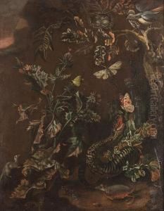 A Snake And Butterflies Amongst Thistles On A Forest Floor by Alida Withoos