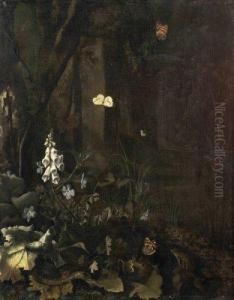 Papillons, Grenouille Et Serpents Dans Un Sous Bois Papillons, Grenouille Et Serpents Dans Un Sous Bois
