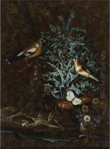 Song Birds, Butterflies, Thistles, Flowers, And Reptiles By Astream - view 1