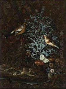 Song Birds, Butterflies, Thistles, Flowers, And Reptiles By Astream Song Birds, Butterflies, Thistles, Flowers, And Reptiles By Astream