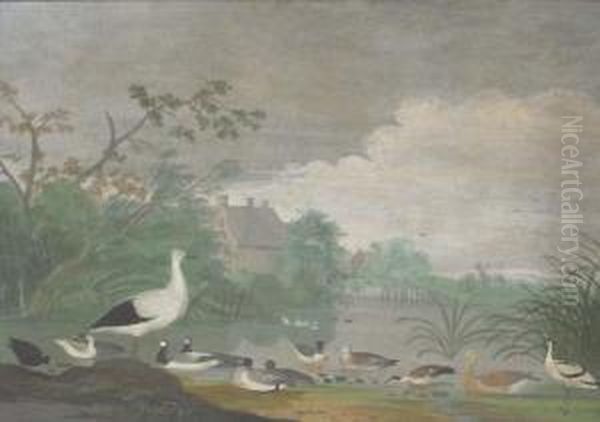 Geese, Ducks And Other Birds On A Pond With Houses In Thedistance - view 1