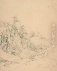 Felsstudie Mit Baumen. by Wilhelm Witthoft